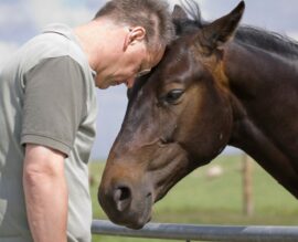 A man gently touching a horse's head during an equine-assisted therapy session.